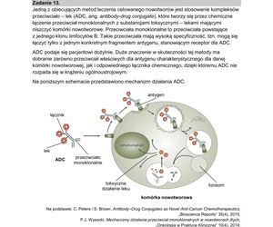 Matura 2025 biologia rozszerzona: ODPOWIEDZI do wszystkich zadań, gotowe rozwiązania matury z biologii rozszerzonej - Formuła 2015 [9.05.2025]	