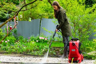 Maja z ‪@rodoswlesie‬, #MuratorOgroduje