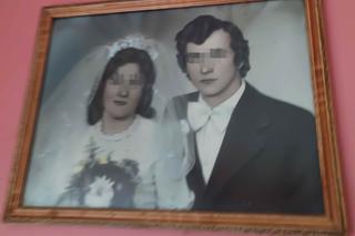 Stary Ursus zabił pana Henryka! Dramat pod Sokołowem Podlaskim