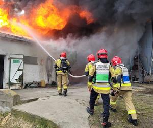 Straż Pożarna z Gorzowa podsumowała akcję gaśniczą pożaru niedaleko miasta