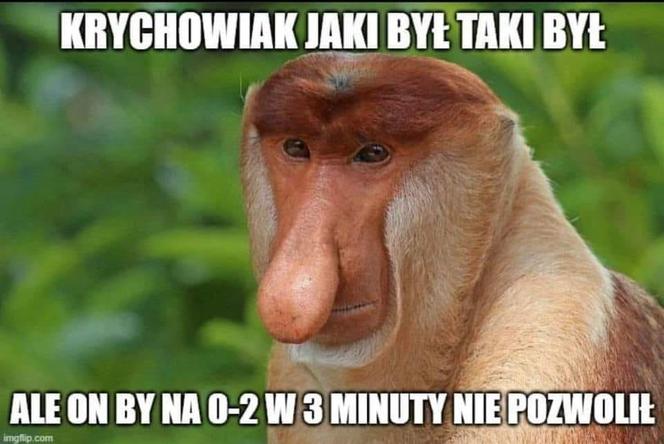 Polska - Albania. Najlepsze memy po meczu
