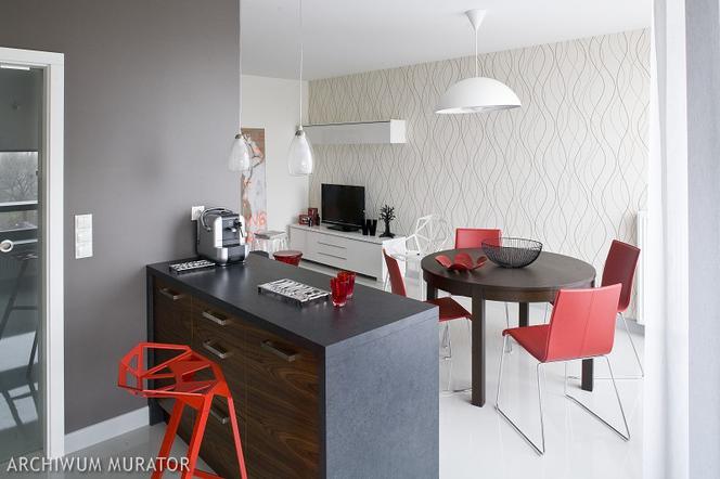 salon z aneksem kuchennym