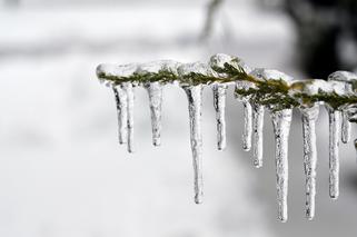 Pogoda Elbląg: Przymrozki możliwe jeszcze do końca tygodnia!