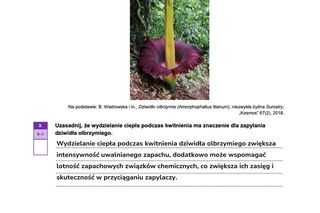 Odpowiedzi próbnej matury z biologii rozszerzonej 2024