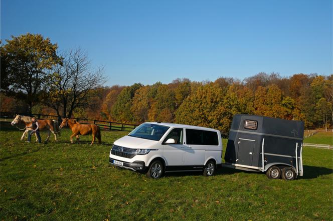 Volkswagen Multivan 6.1 PanAmericana