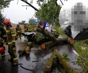 Usłyszała trzask i potem runęło na nich drzewo! 47-letni Bogdan zginął