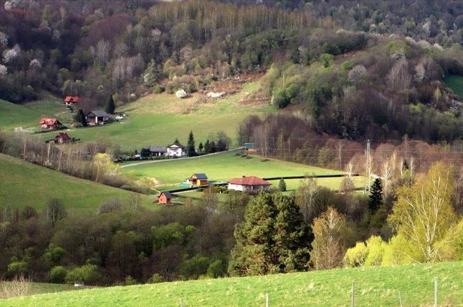 Polana