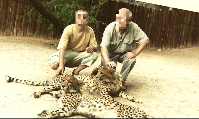 KOBRA nie płacił, dręczył i gwałcił