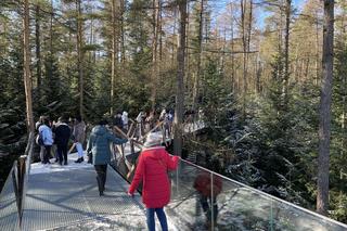 Ścieżka w koronach drzew to hit turystyczny. Do Starego Sącza przyjeżdżają tłumy