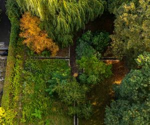 Kamienice Jerzego Wierzbickiego w Warszawie przy Al. Niepodległości