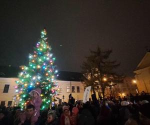 Choinka rozbłysła przed Oknem Papieskim w Krakowie. Nie zabrakło wspólnego kolędowania