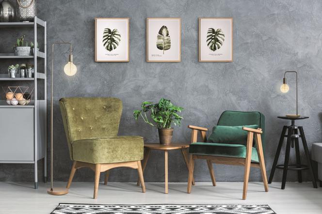 Monstera we wnętrzach: pomysły na aranżacje z monsterą