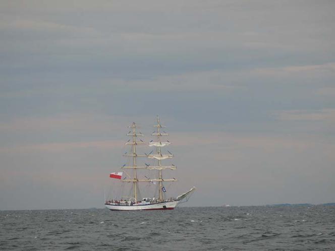 ParadaZagleGdyni2014_FotMZwierz_710150