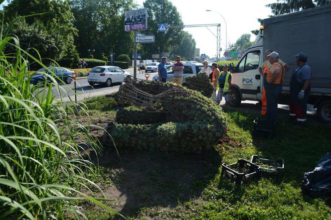 Ukrainiec zderzył się ze słoniami w Przeworsku
