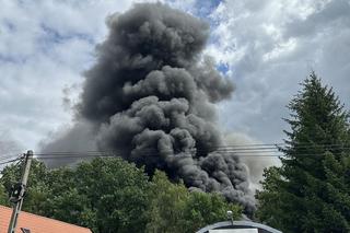 Potężny pożar magazynu w Sulejówku! Kilkudziesięciu strażaków walczy z żywiołem