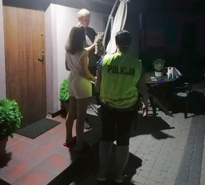 Wyrzucił do rowu kota w worku! 62-latek bez serca
