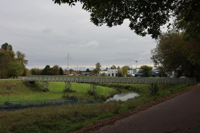 Jesienna odsłona terenów nad Bystrzycą w Lublinie. Tak się prezentuje w październiku