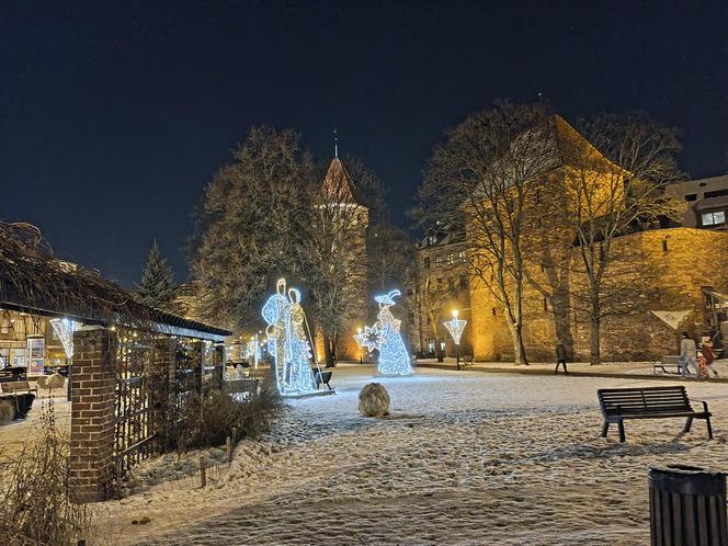 Gdańska choinka rozbłysła. Zobaczcie nasze zdjęcia!