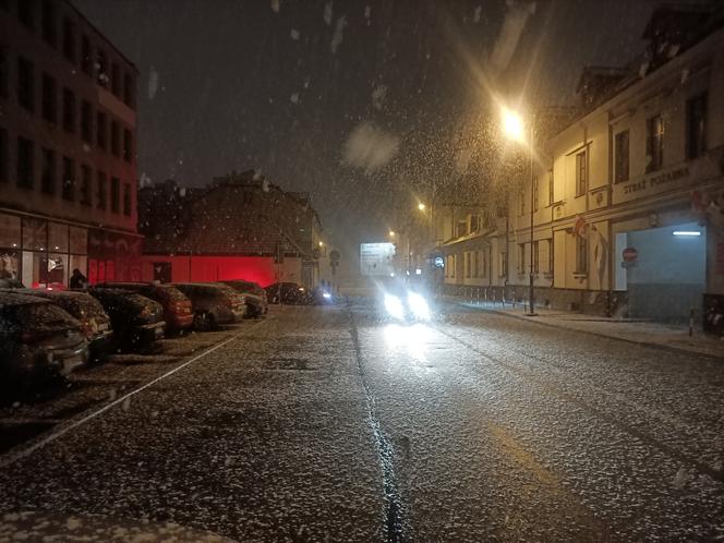 gołoledź