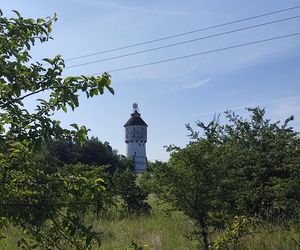 Prawie jak dom Muminków. Zabytkowa wieża na Mazurach zachwyca