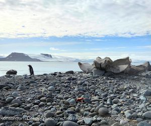 Antarktyka, moduły w kontenerach dotarły na Wyspę Króla Jerzego