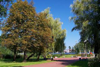 Park Kościuszki