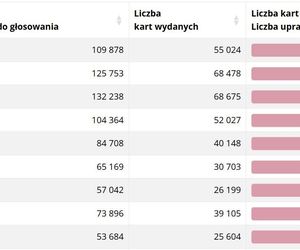 Frekwencja wyborcza w woj. śląskim na godz. 17