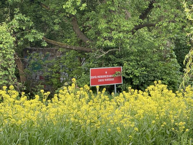 Poranny pożar w Warszawie. Kłęby czarnego dymu nad miastem