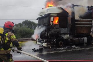 Ogromny pożar tira w Jeleniej Górze. Kłęby dymu nad obwodnicą 