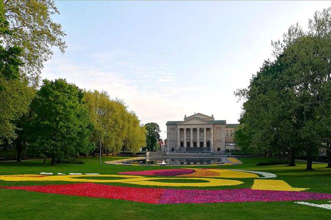 Kolorowy park Mickiewicza [ZDJĘCIE DNIA]