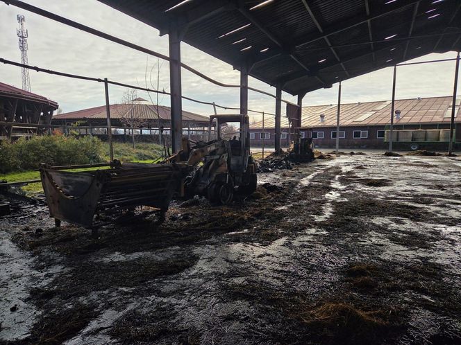 Pożar w Klubie Jeździeckim Facimiech