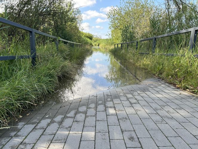 Łynostrada w Olsztynie zalana. Będą naprawy, a może i kładka!