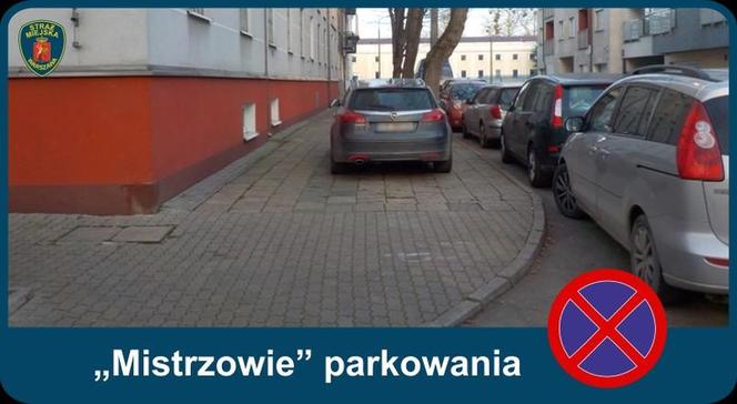 Warszawscy mistrzowie parkowania w listopadzie 2020