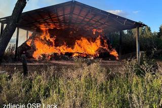 12-latek podpalił stadninę koni w Łącku? Ogromne straty. Strażacy walczyli z ogniem przez prawie 24 godziny [ZDJĘCIA]