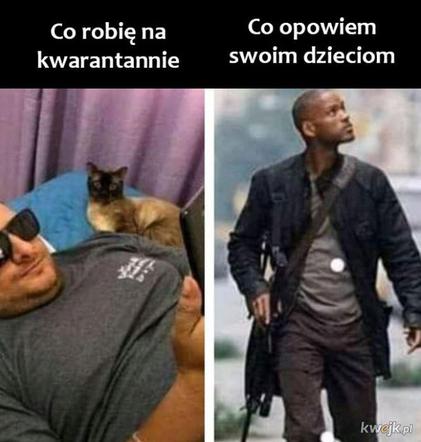 Memy o kwarantannie
