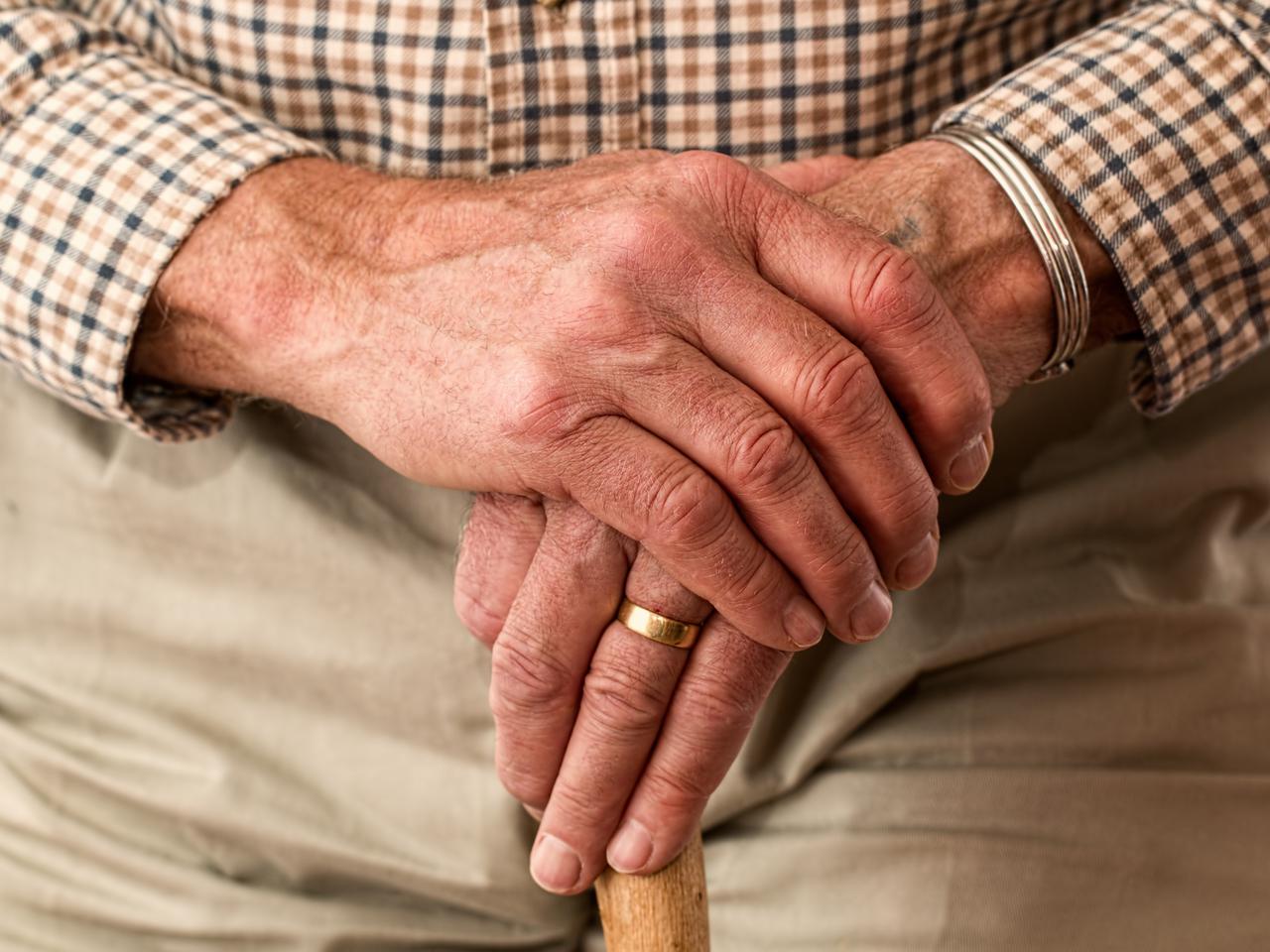 Bielany dla aktywnych seniorów