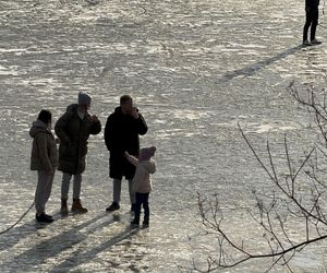 Skrajna nieodpowiedzialność. Spacerują po płytkim lodzie z dziećmi i psami. Dramat na Pradze-Południe w Warszawie