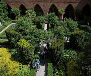 Muzeum Architektury we Wrocławiu