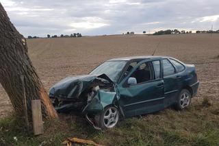 Poważny wypadek z udziałem radiowozu w Jabłonowie Pomorskim. Zdjęcia z akcji