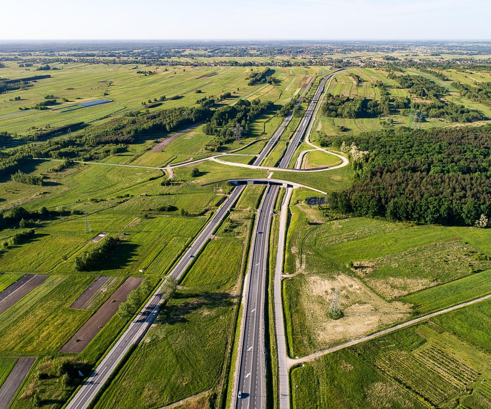 S19 pomiędzy węzłami Sokołów Małopolski Północ i Jasionka
