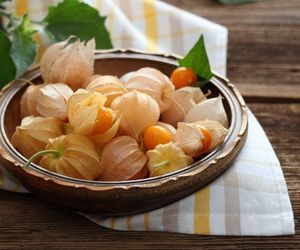 Miechunka peruwiańska