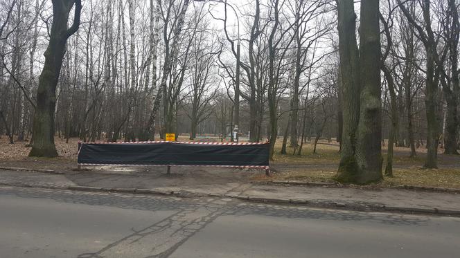 Modernizacja Parku Zielona w Dąbrowie Górniczej