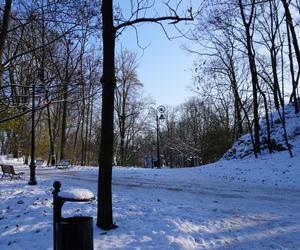 Park im. Wojciecha Bednarskiego 