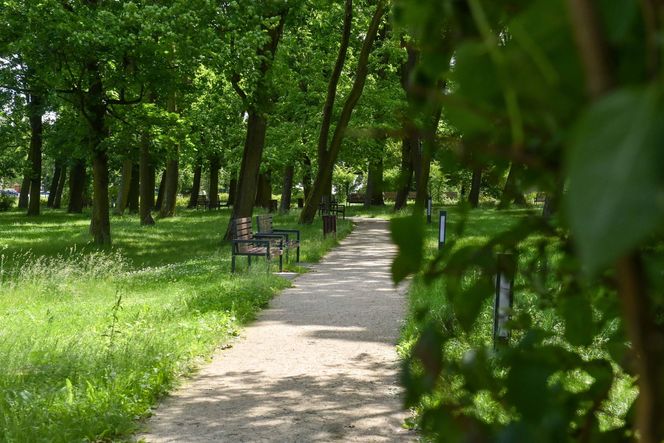 Uniwersytet w żałobie. Wzruszające pożegnanie zamordowanej Klaudii. "To niewyobrażalna tragedia"