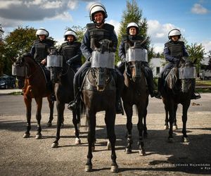 Policyjne konie zdały egzamin!