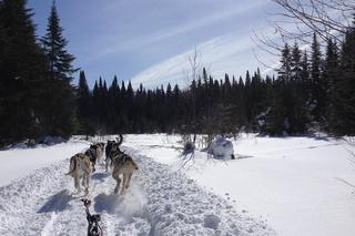 Gdzie pojechać na ferie zimowe w warmińsko-mazurskim? Te miejsca warto odwiedzić! [LISTA] 