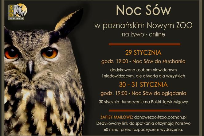 NOC SÓW w poznańskim ZOO