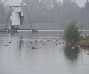 Dolina Silnicy i Zalew Kielecki jesienią