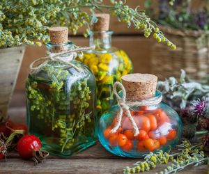 Jarzębiak z cytryną: przepis na pyszną nalewkę z jarzębiny