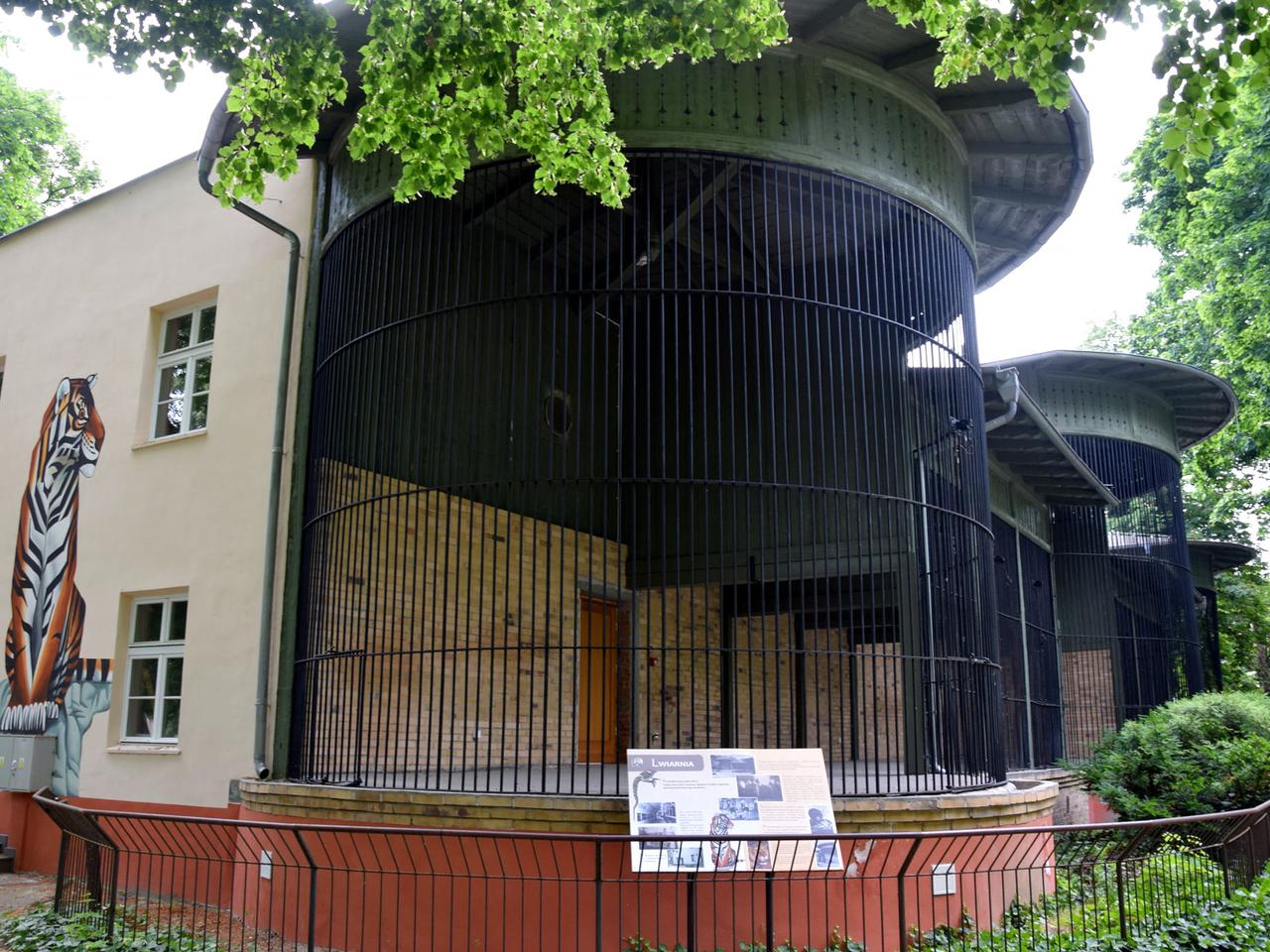 Poznańskie Zoo gra z WOŚP. Jakie atrakcje czekają w dzień finału?